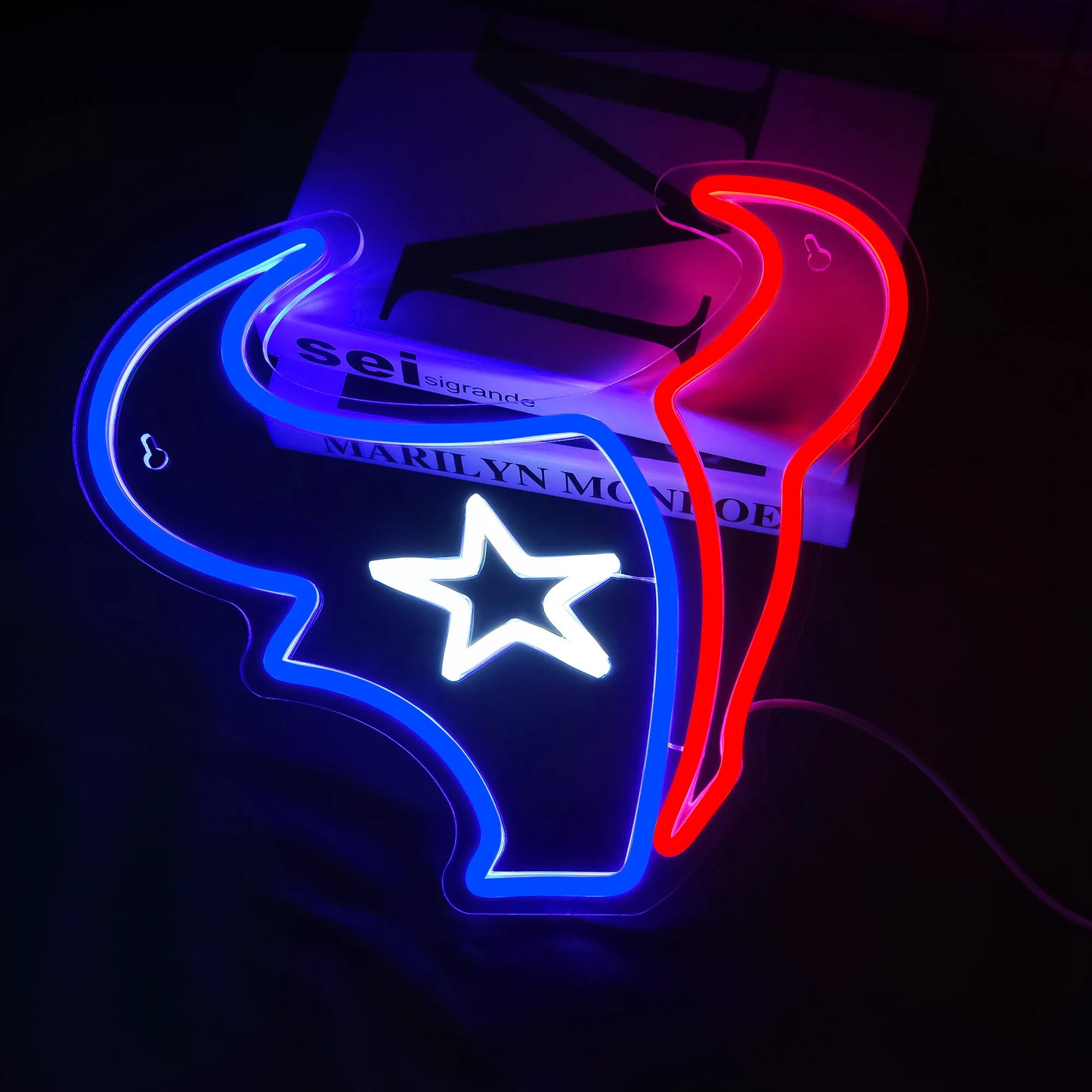 Houston Texans Neon Light